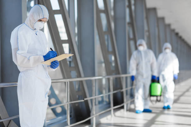 Best Mold Odor Removal Services  in Walford, IA