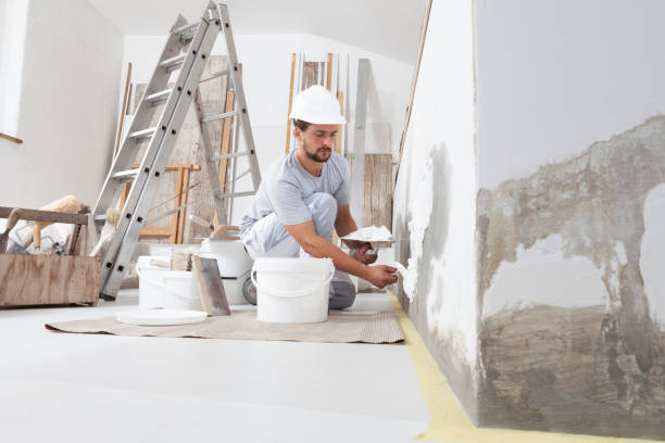 Mold Remediation for Vacation Homes in Walford, IA