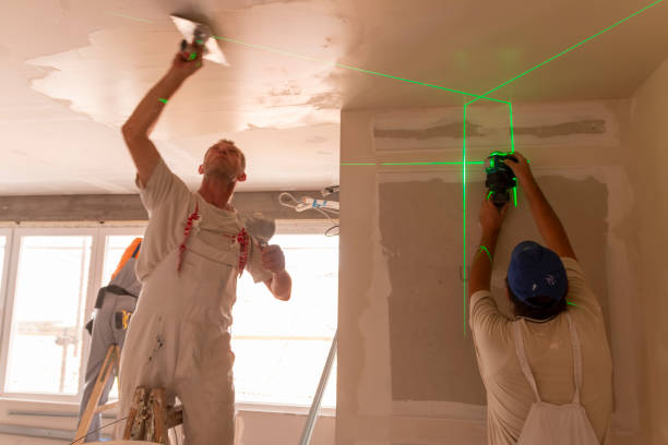 Trusted Walford, IA Mold Removal Experts