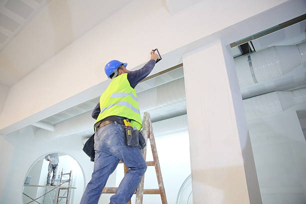 Best Mold Remediation for Vacation Homes  in Walford, IA