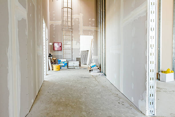 Best Forensic Mold Investigation  in Walford, IA