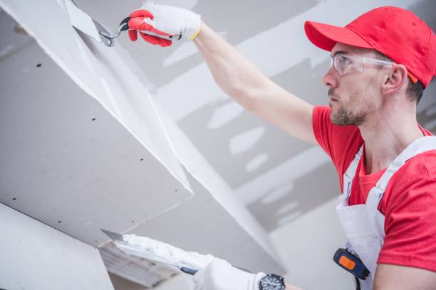 Best Residential Mold Inspection & Testing  in Walford, IA